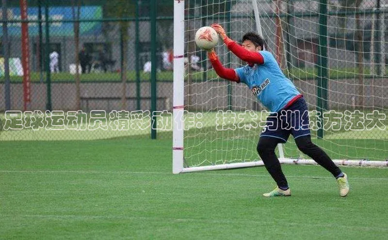 天辰平台app官方下载百度搜索资源平台足球运动员精彩动作：技术与训练方法大