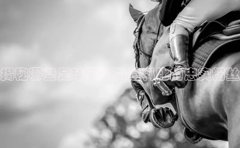 天辰注册登录官网百度取证揭秘哪些足球运动员是科比的忠实粉丝