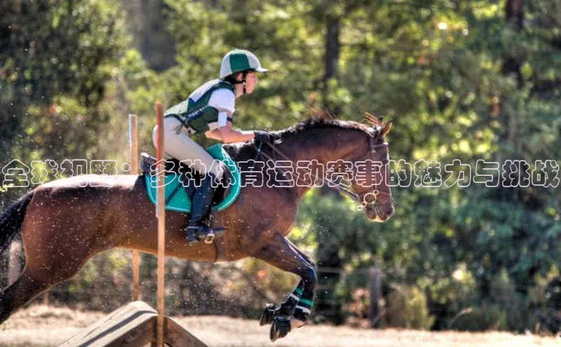 天辰注册官网登录入口