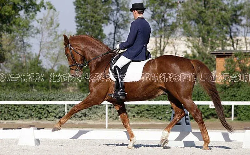 天辰测速登录地址