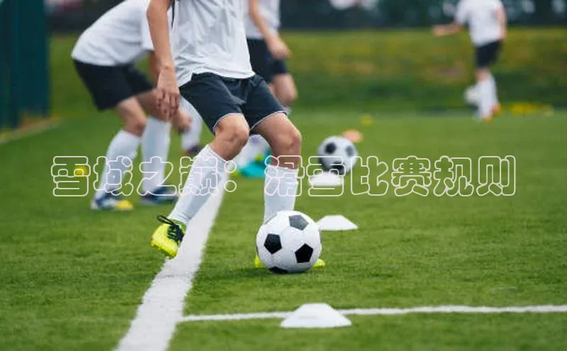 雪域之巅：滑雪比赛规则